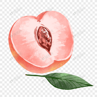 WWW,655se·COM网站APPAPP应用