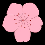 17c高清APP应用